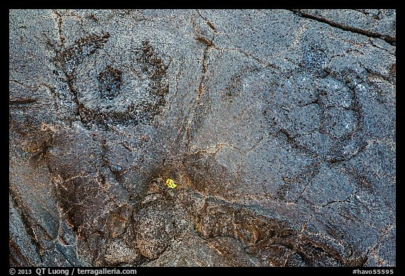 Petroglyph detail with human figure and sea turtle. Hawaii Volcanoes National Park, Hawaii, USA.
