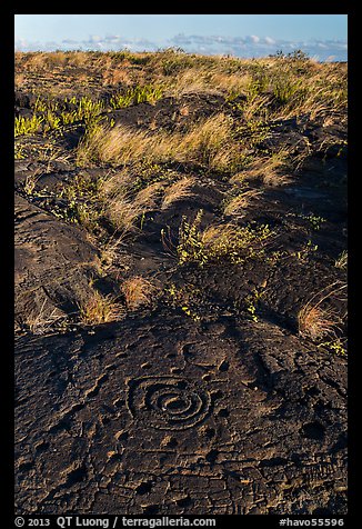 Archaeological site of Puu Loa. Hawaii Volcanoes National Park (color)