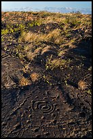 Archaeological site of Puu Loa. Hawaii Volcanoes National Park ( color)