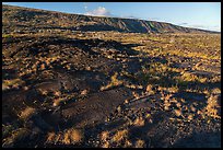 Puu Loa petroglyph field and pali. Hawaii Volcanoes National Park ( color)