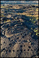 Petroglyph with motif of cupules and holes. Hawaii Volcanoes National Park ( color)