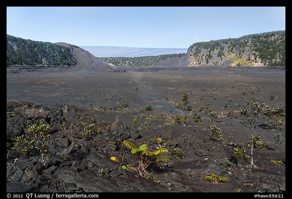 Kīlauea Iki crater floor. Hawaii Volcanoes National Park (color)