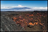 Vein of red and orange lava on Mauna Loa, Mauna Kea in background. Hawaii Volcanoes National Park ( color)
