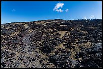 Blocks of aa lava and olivine sand, North Pit, Mauna Loa. Hawaii Volcanoes National Park ( color)