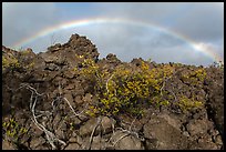 Rainbow over Kau desert. Hawaii Volcanoes National Park ( color)