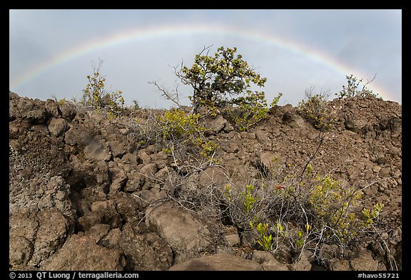 Srubs, lava, and rainbow, Kau desert. Hawaii Volcanoes National Park, Hawaii, USA.