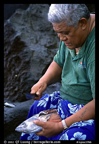 Elder Samoan subsistence fisherman, Tau Island. National Park of American Samoa