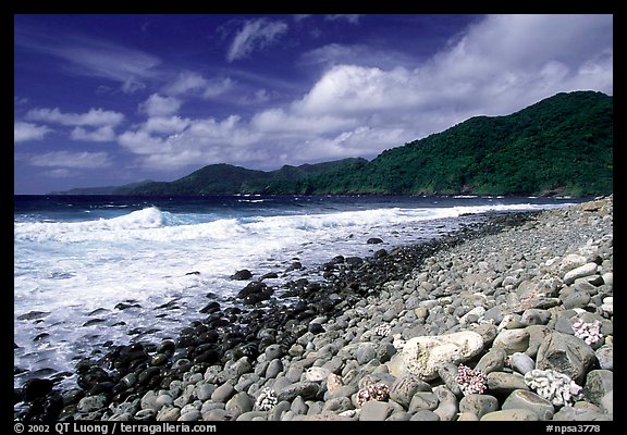 Beached coral heads and Vatia Bay, mid-day, Tutuila Island. National Park of American Samoa (color)