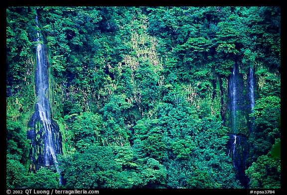 Ephemeral waterfalls in Amalau Valley, Tutuila Island. National Park of American Samoa