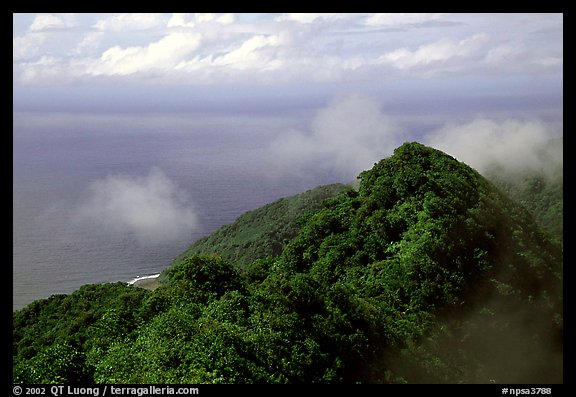Forested ridges and Pacific Ocean from Mont Alava, Tutuila Island. National Park of American Samoa