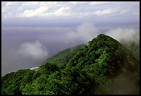 Forested ridges and Pacific Ocean from Mont Alava, Tutuila Island. National Park of American Samoa (color)