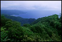 View from Mont Alava, Tutuila Island. National Park of American Samoa (color)