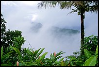 Clearing clouds from Mont Alava, Tutuila Island. National Park of American Samoa (color)