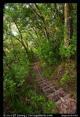 Steep staircase with rope, Tuafanua Trail. National Park of American Samoa