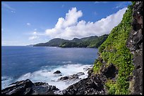 Coast from Lower Sauma Ridge. National Park of American Samoa ( color)