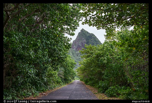 Road and Sunuitao Peak, Ofu Island. National Park of American Samoa (color)