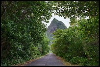 Road and Sunuitao Peak, Ofu Island. National Park of American Samoa ( color)