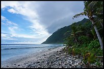 East end of Ofu Beach. National Park of American Samoa ( color)