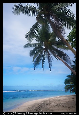 Palm trees, beach and lagoon, Ofu Island. National Park of American Samoa