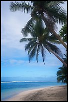 Palm trees, beach and lagoon, Ofu Island. National Park of American Samoa ( color)