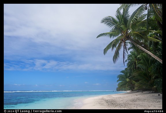 Palm trees and lagoon, Ofu South Beach. National Park of American Samoa (color)