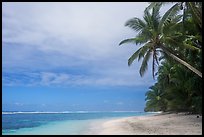 Palm trees and lagoon, Ofu South Beach. National Park of American Samoa ( color)