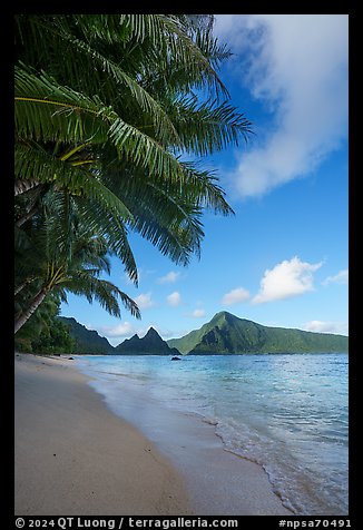 Palm trees, Ofu South Beach, Sunuitao Peak and Piumafua Mountain. National Park of American Samoa (color)