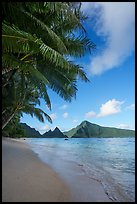 Palm trees, Ofu South Beach, Sunuitao Peak and Piumafua Mountain. National Park of American Samoa ( color)