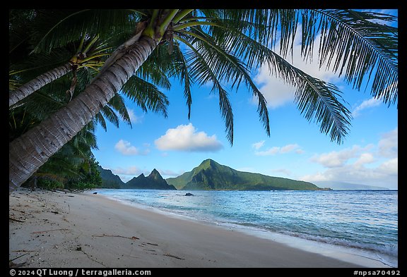 Coconut trees, Ofu Beach, Sunuitao Peak, Olosega Island, and Tau Island. National Park of American Samoa