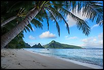 Coconut trees, Ofu Beach, Sunuitao Peak, Olosega Island, and Tau Island. National Park of American Samoa ( color)