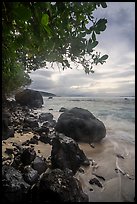 Boulders on Ofu Beach. National Park of American Samoa ( color)