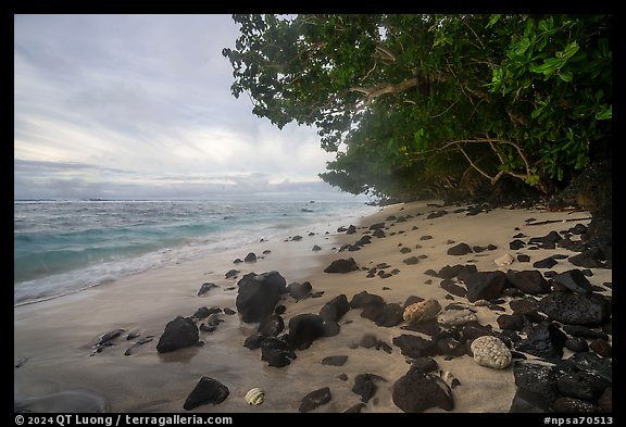 Beach with volcanic rocks, corals, Ofu Island. National Park of American Samoa