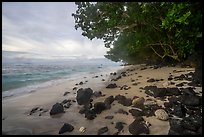 Beach with volcanic rocks, corals, Ofu Island. National Park of American Samoa ( color)