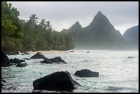 Rocks, palm trees, and Sunuitao Peak, Ofu Island. National Park of American Samoa ( color)