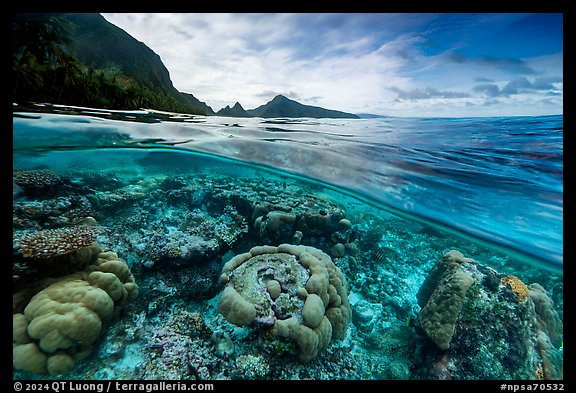 Over-under split view of Ofu Lagoon corals and Ofu mountains (AI-generated). National Park of American Samoa (color)
