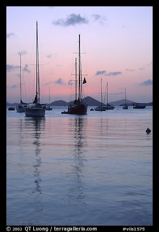 Sailboats in Cruz Bay harbor at sunset. Virgin Islands National Park, US Virgin Islands.