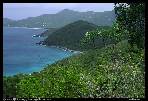 Hurricane Hole. Virgin Islands National Park, US Virgin Islands.