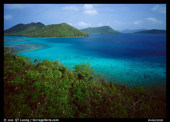 Tropical island environment with turquoise waters. Virgin Islands National Park, US Virgin Islands.