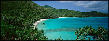 Tropical island scenery. Virgin Islands National Park (Panoramic color)