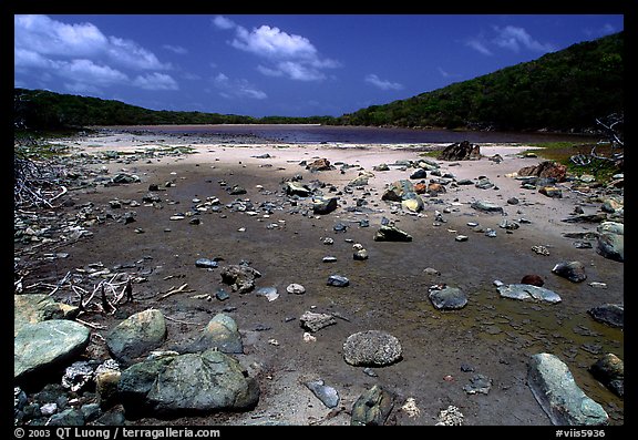 Salt Pond. Virgin Islands National Park