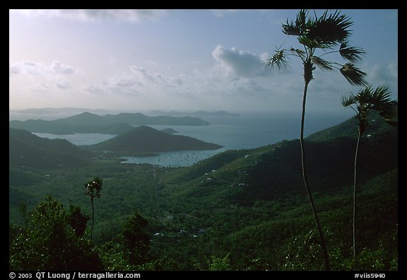 Coral Harbor seen from Centerline Road, morning. Virgin Islands National Park