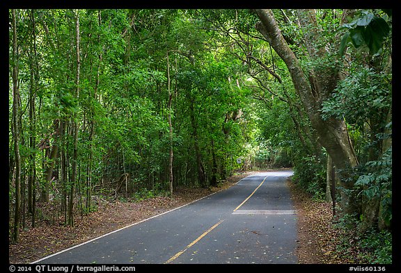 North Shore road. Virgin Islands National Park (color)