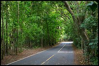 North Shore road. Virgin Islands National Park ( color)