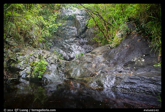 Freshwater pool, petrogyphs, and waterfall. Virgin Islands National Park (color)