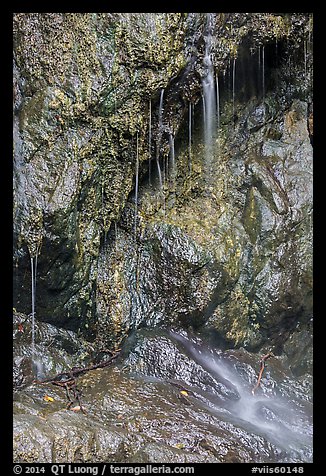 Ephemeral waterfall, Reef Bay. Virgin Islands National Park (color)