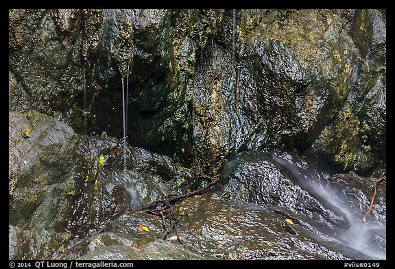 Water drips on rocks, Reef Bay. Virgin Islands National Park (color)