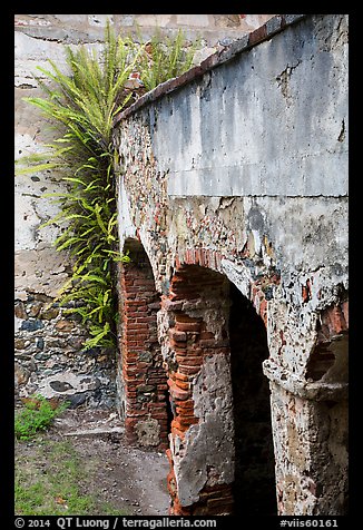 Wall and arch, Reef Bay sugar factory. Virgin Islands National Park (color)