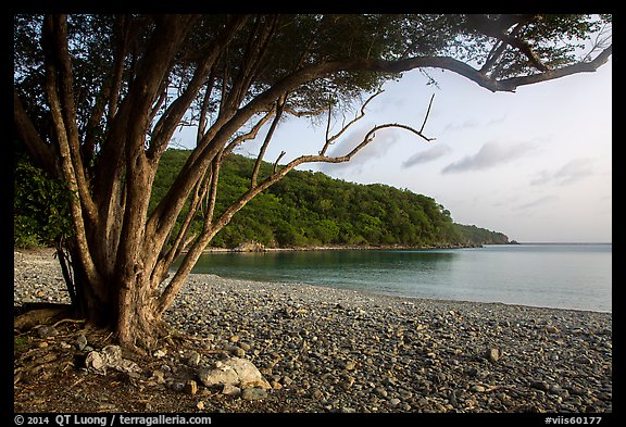 Great Lameshur Bay beach. Virgin Islands National Park (color)