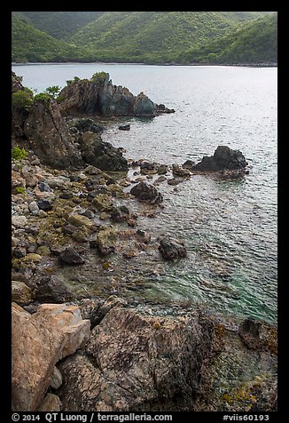 Rocks on jagged shoreline, Yawzi Point. Virgin Islands National Park (color)