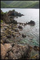 Rocks on jagged shoreline, Yawzi Point. Virgin Islands National Park ( color)
